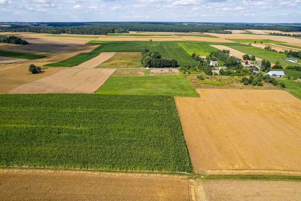 Działka – Nowe Krzewo