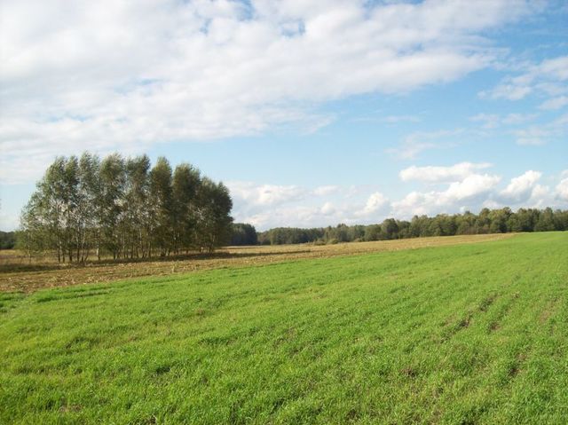 Działka – Janowicze