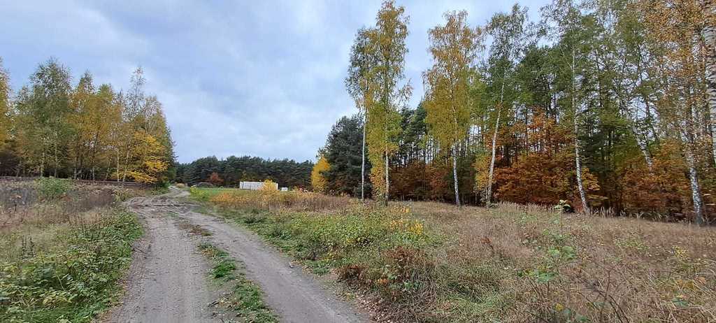 Działka – Księżak, ul. Echa Leśne