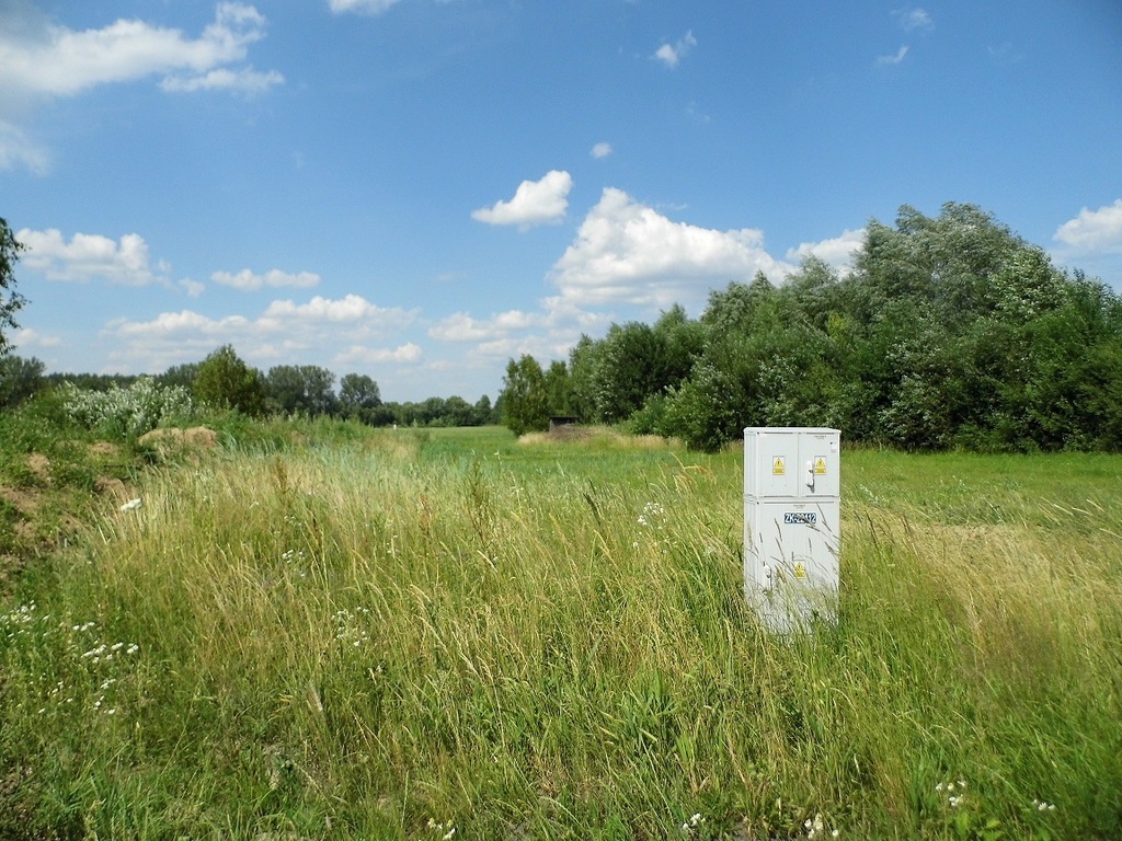 Działka – Turośń Kościelna