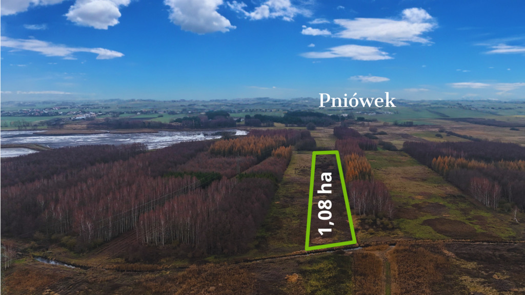 Działka – Pniówek