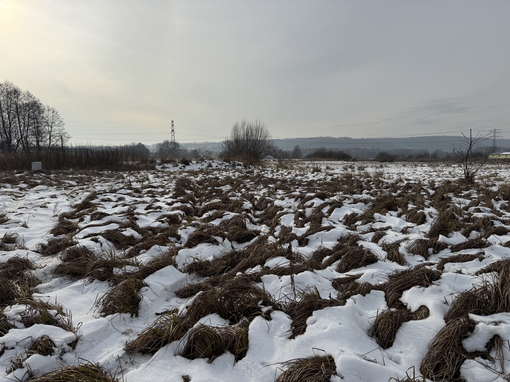 Działka – Bolechowice, ul. Zielona