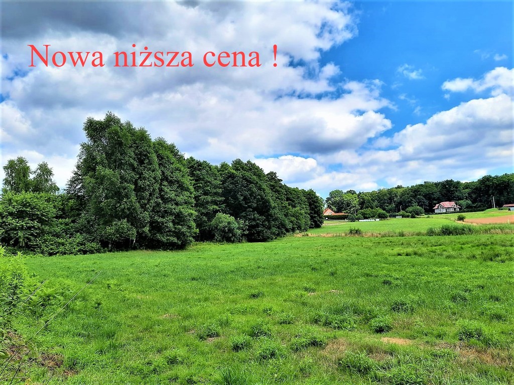 Działka – Skrzyszów