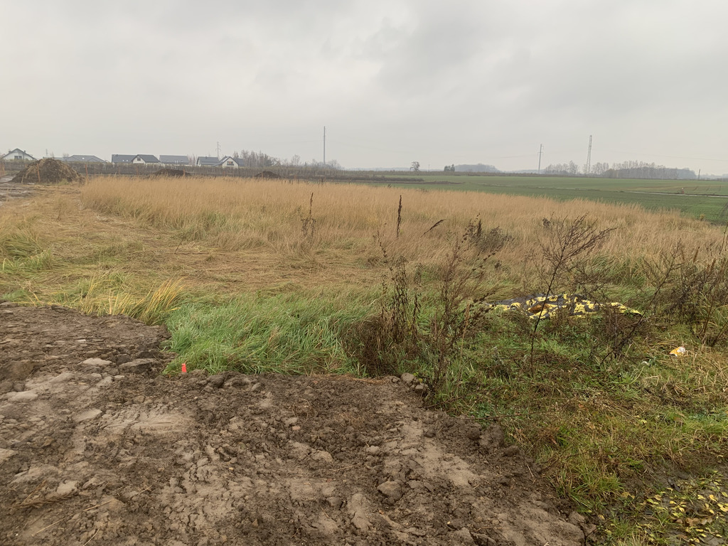 Działka – Domasław, ul. Oliwkowa