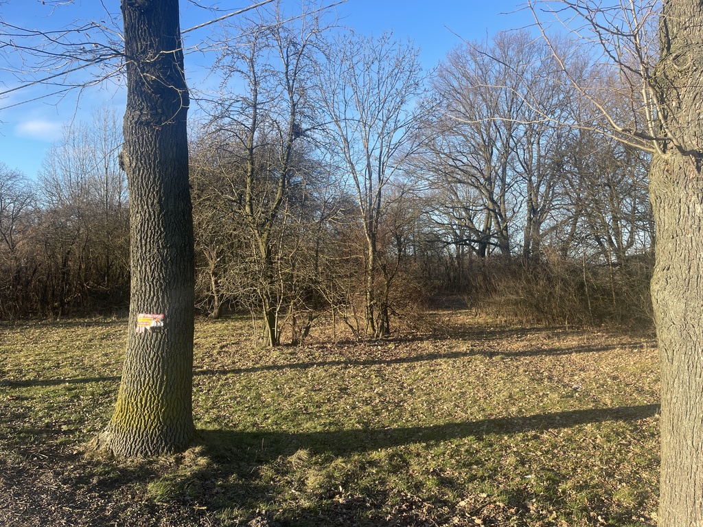 Działka – Elżbietów