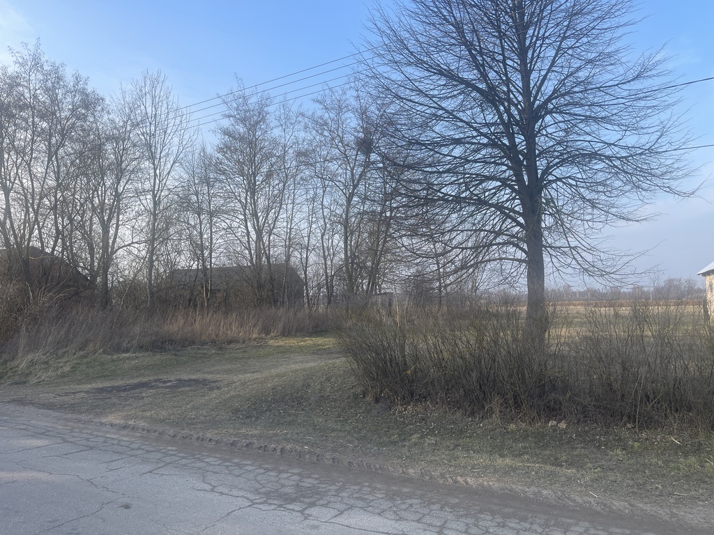 Działka – Barbarówka