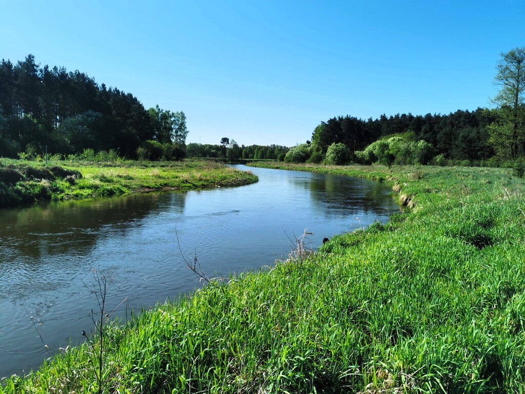 Działka – Wola Przedborska