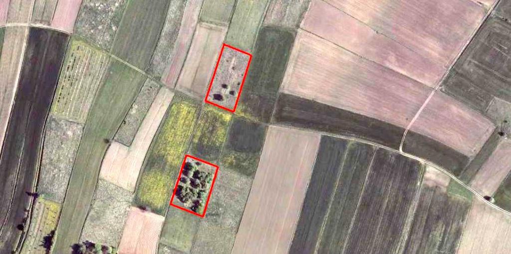 Działka – Strzegowa