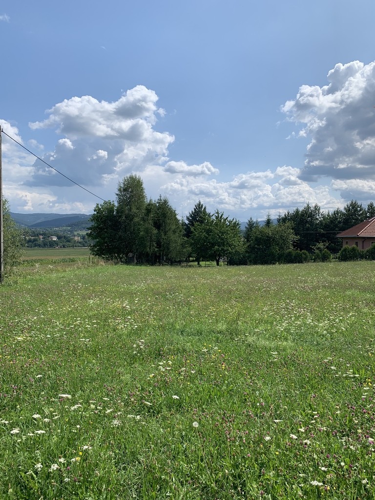 Działka – Bielowicko