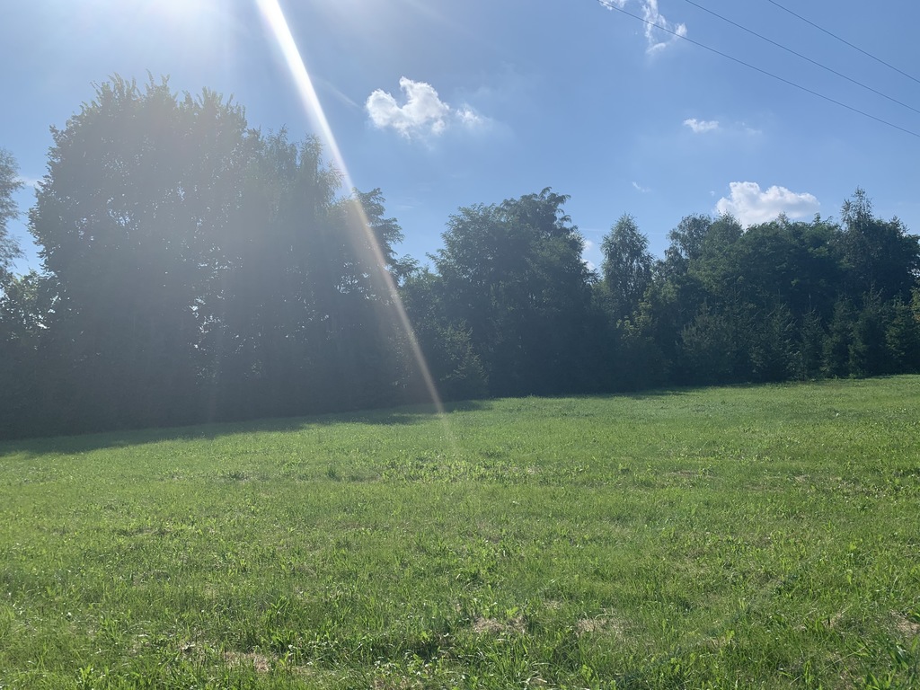 Działka – Jastrzębie-Zdrój, ul. Kasztanowa