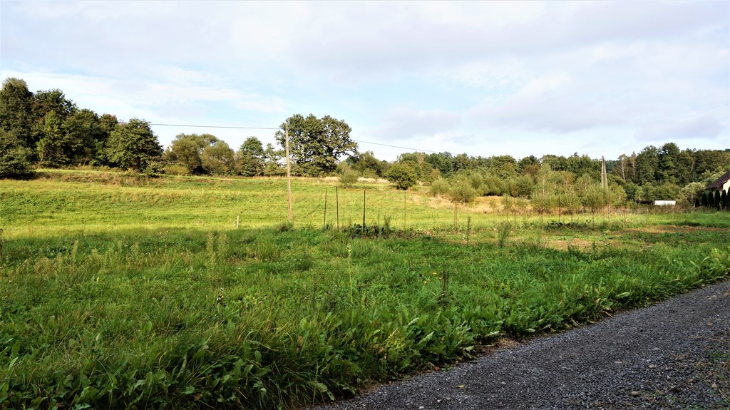 Działka – Królówka