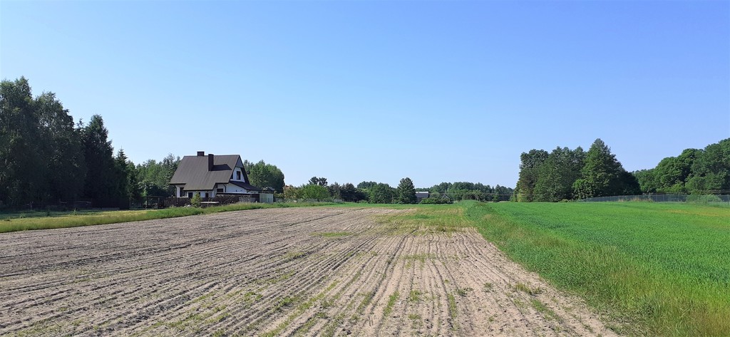 Działka – Ruda-Kolonia