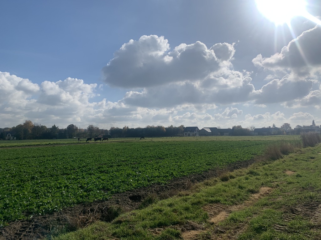 Działka – Orzesze