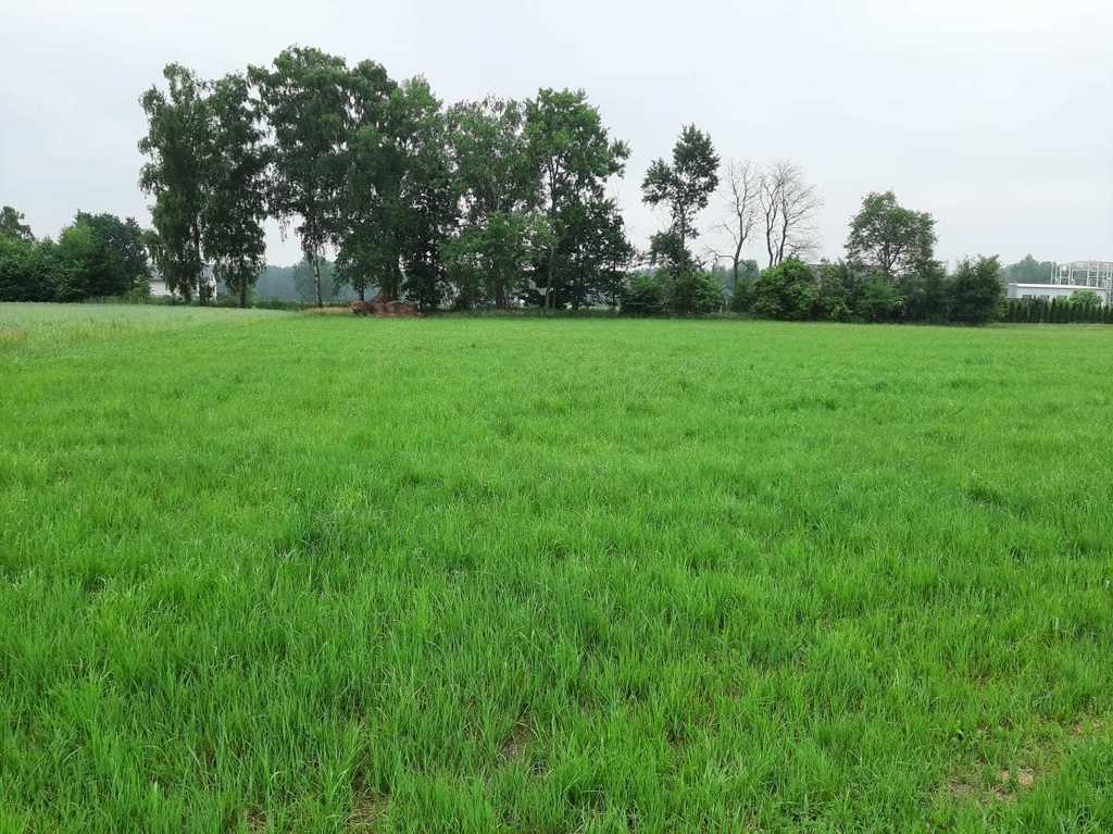 Działka – Rudziczka