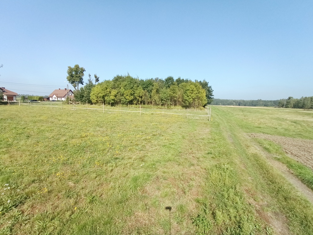 Działka – Szczejkowice