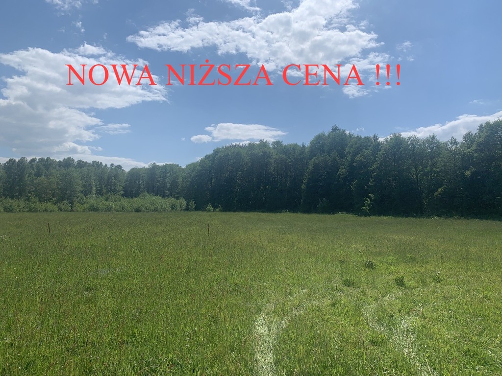 Działka – Ciekocino