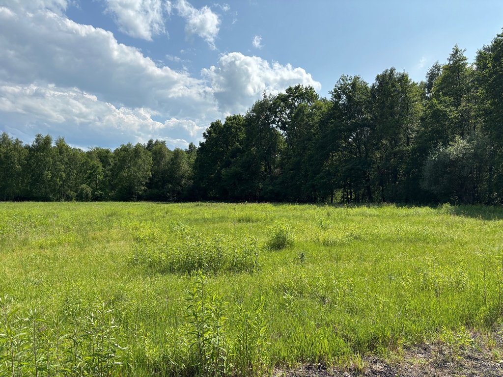 Działka – Dąbrówka