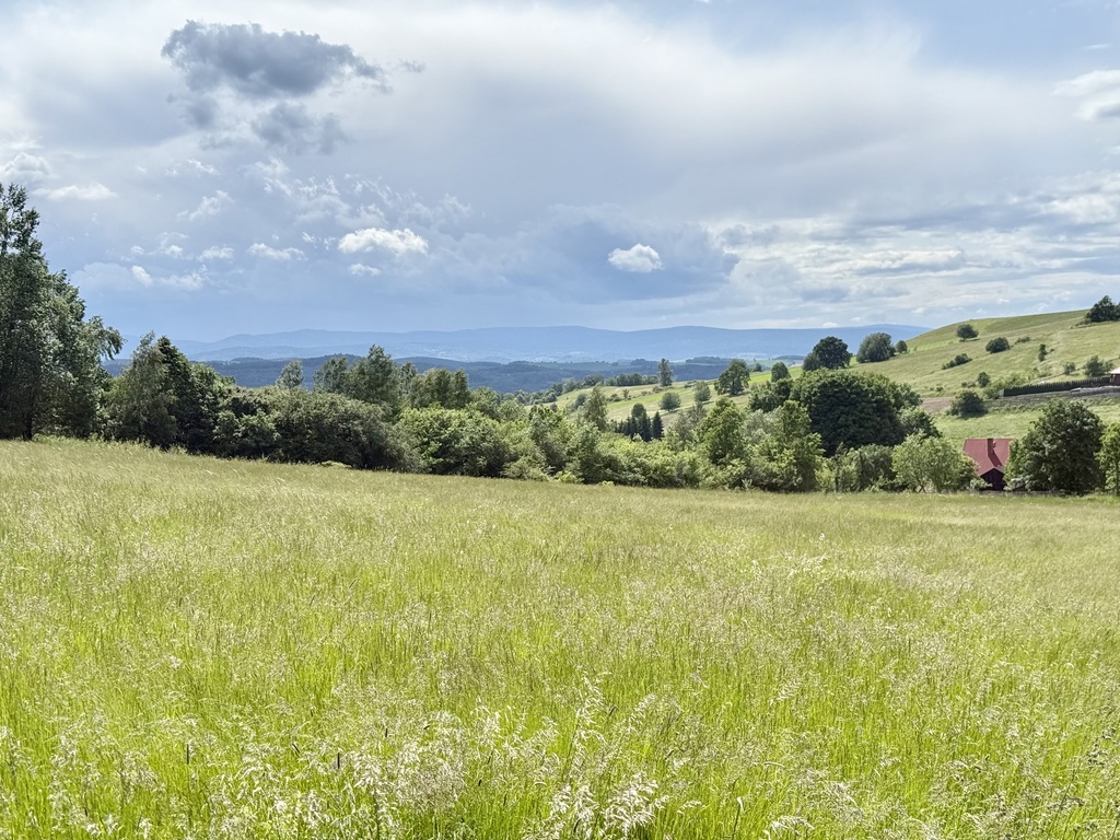 Działka – Jeżów Sudecki, ul. Widokowa