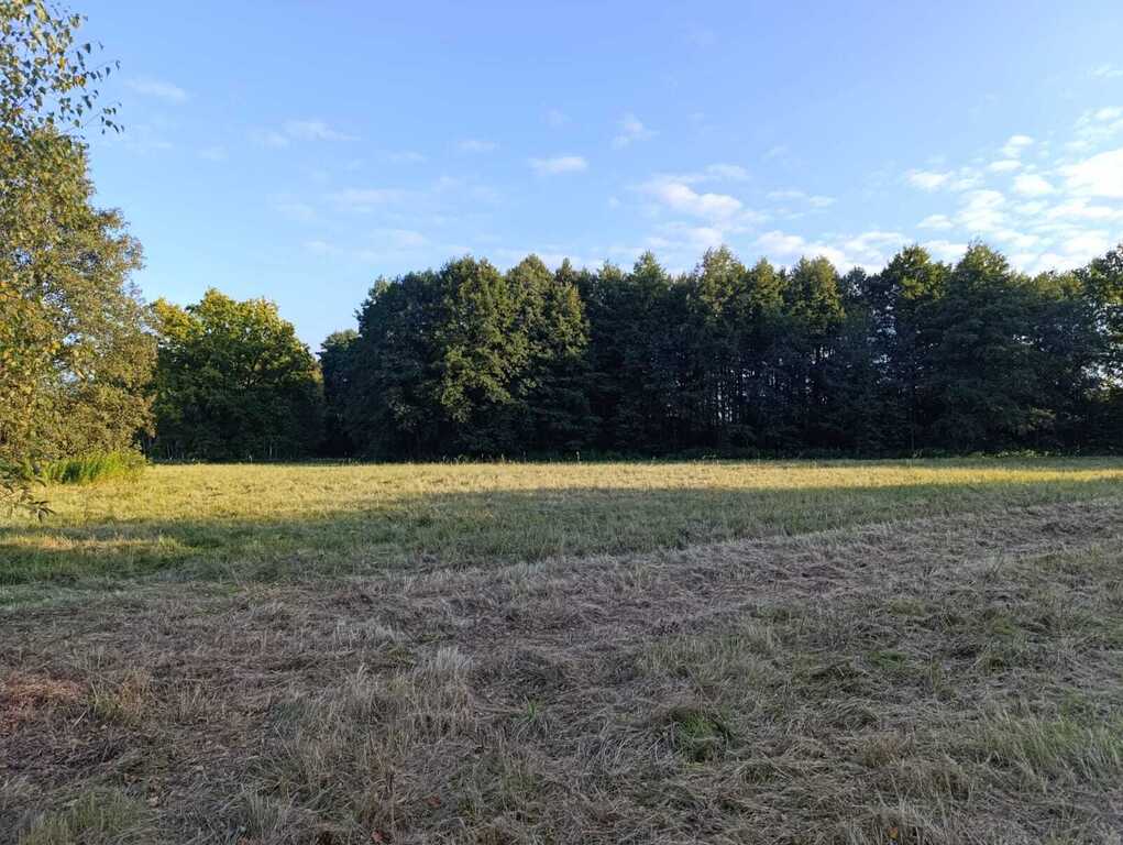 Działka – Chocianów