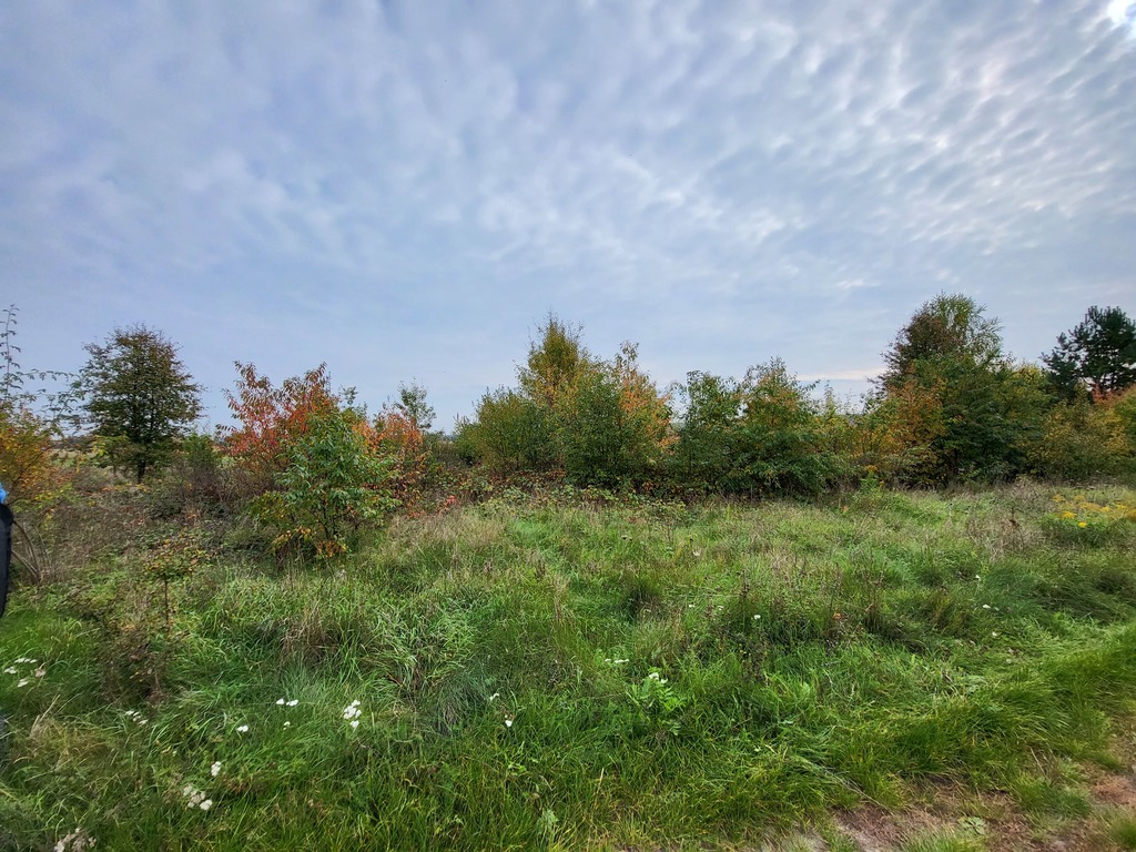 Działka – Legnica