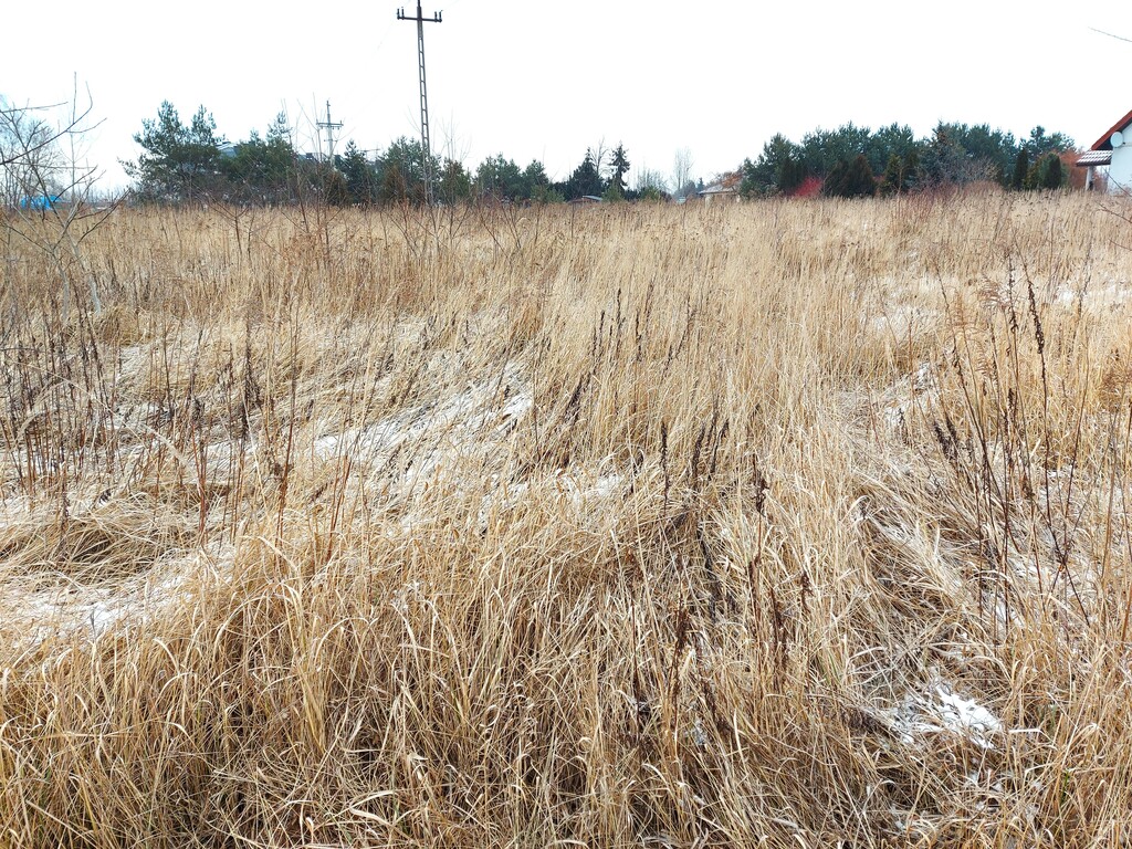 Działka – Chrzanów Mały