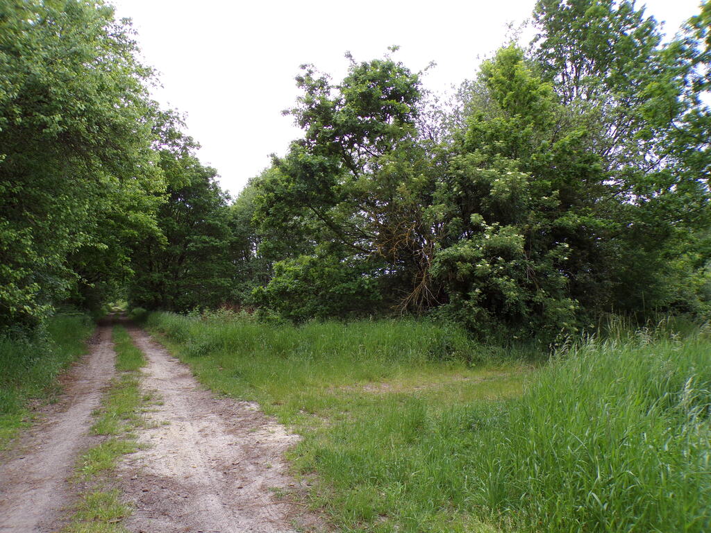 Działka – Objazda, ul. Brzozowa