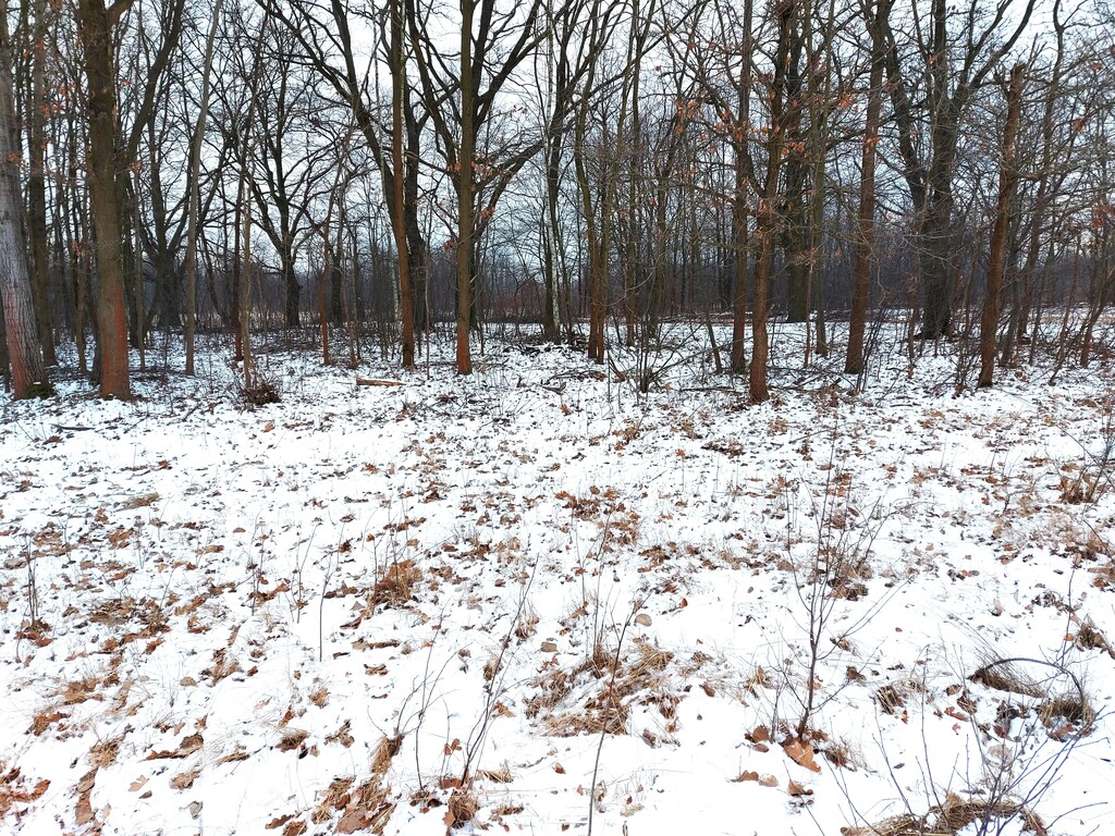 Działka – Milanówek