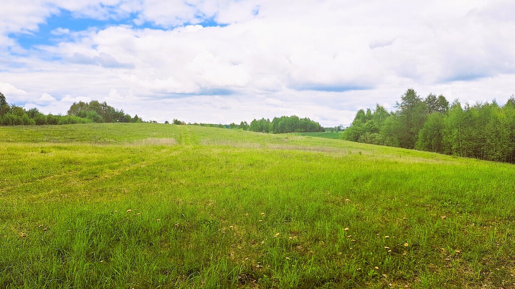 Działka – Dąbrówka Wielka