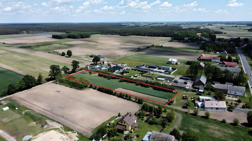 Działka – Dębowa Łęka