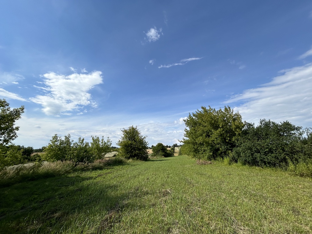 Działka – Majdan Górny, ul. Klonowa