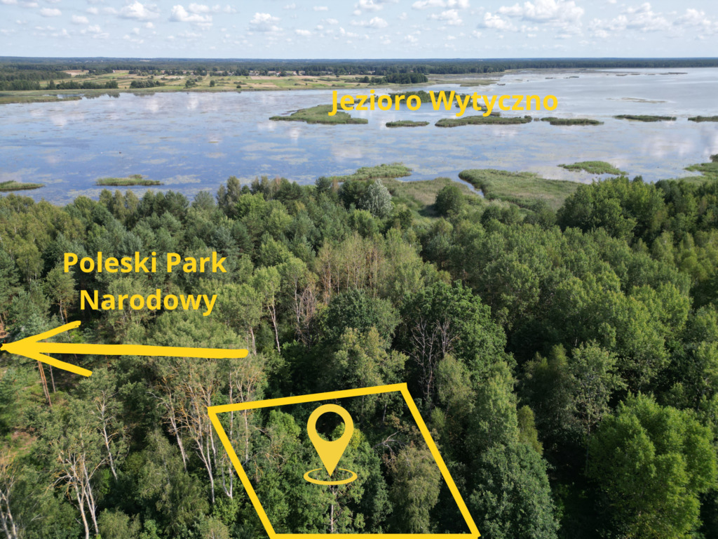 Działka – Wytyczno