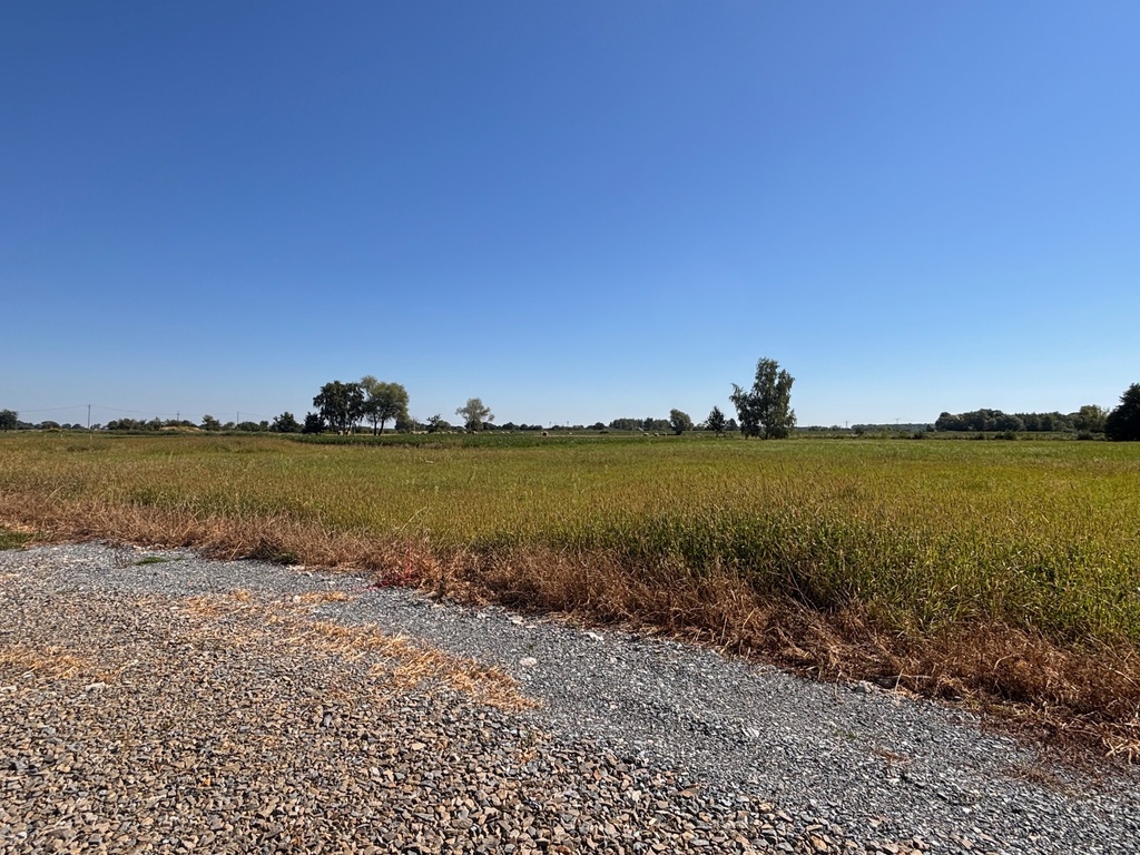 Działka – Krzeczów, ul. Dębowa