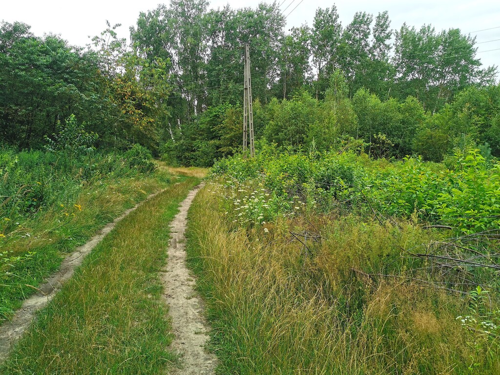 Działka – Dobryszyce