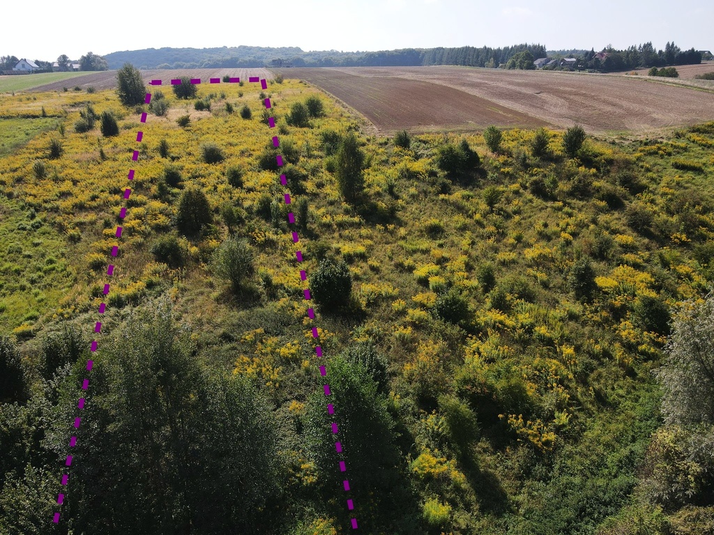 Działka – Przybysławice