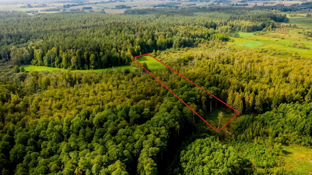 Działka – Dobrzyniówka