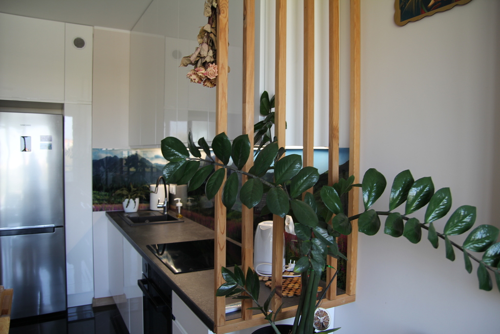 Mieszkanie – Łódź, Łódź-Polesie