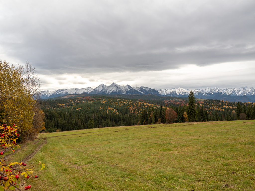 Działka – Rzepiska