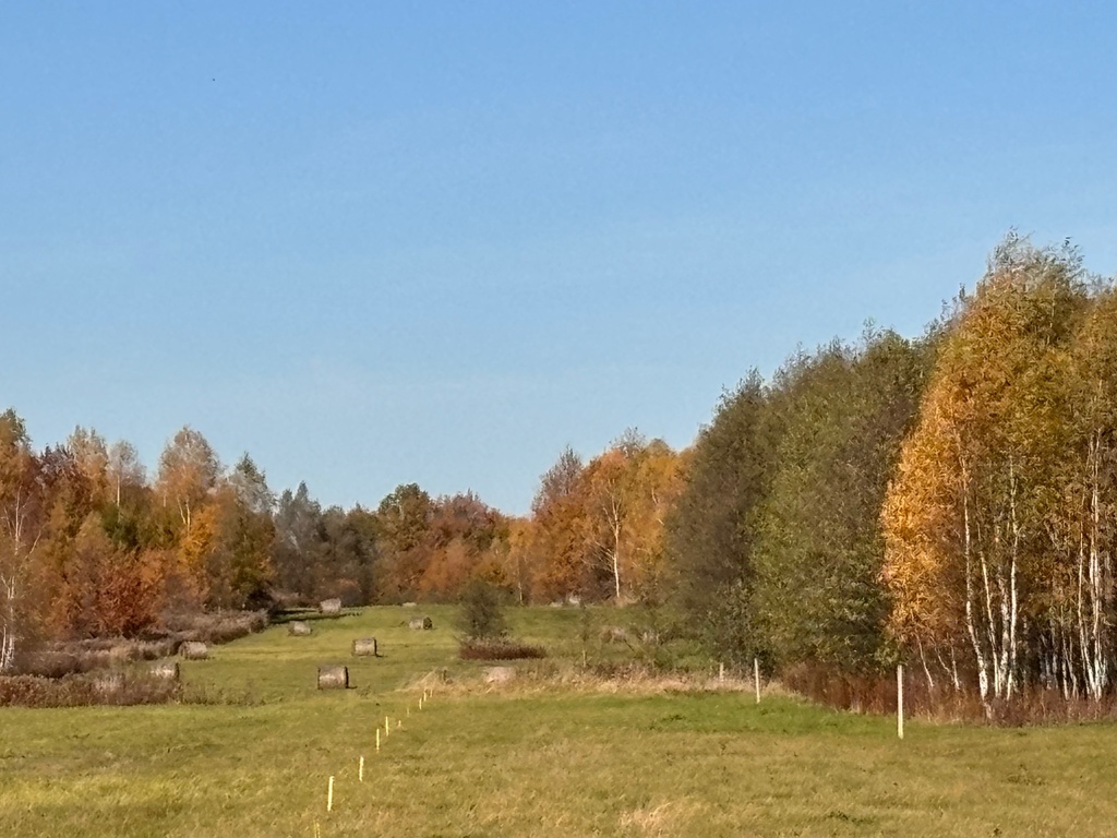 Działka – Jodłówka