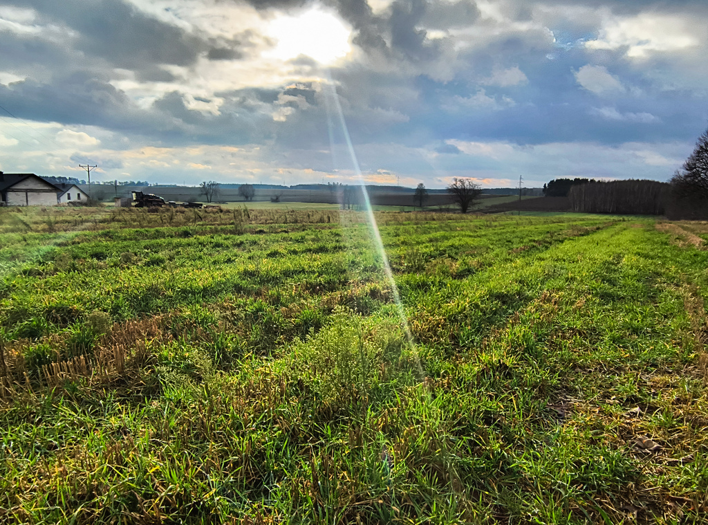 Działka – Janów Podlaski