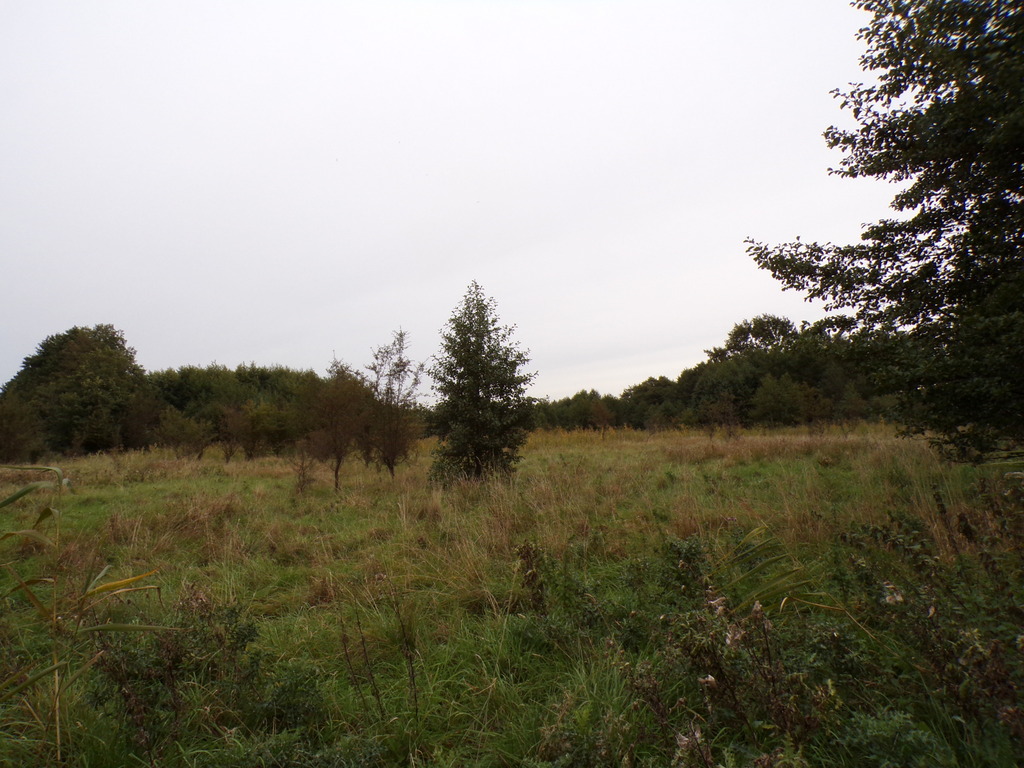 Działka – Machowino, ul. Sosnowa