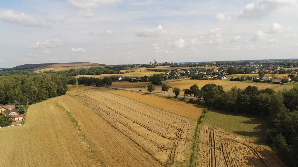 Działka – Gogołowa, Jastrzębska