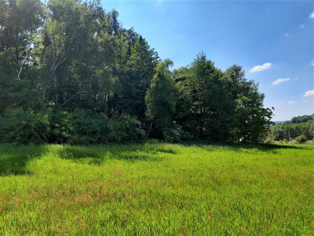 Działka – Skrzyszów, Dębowa