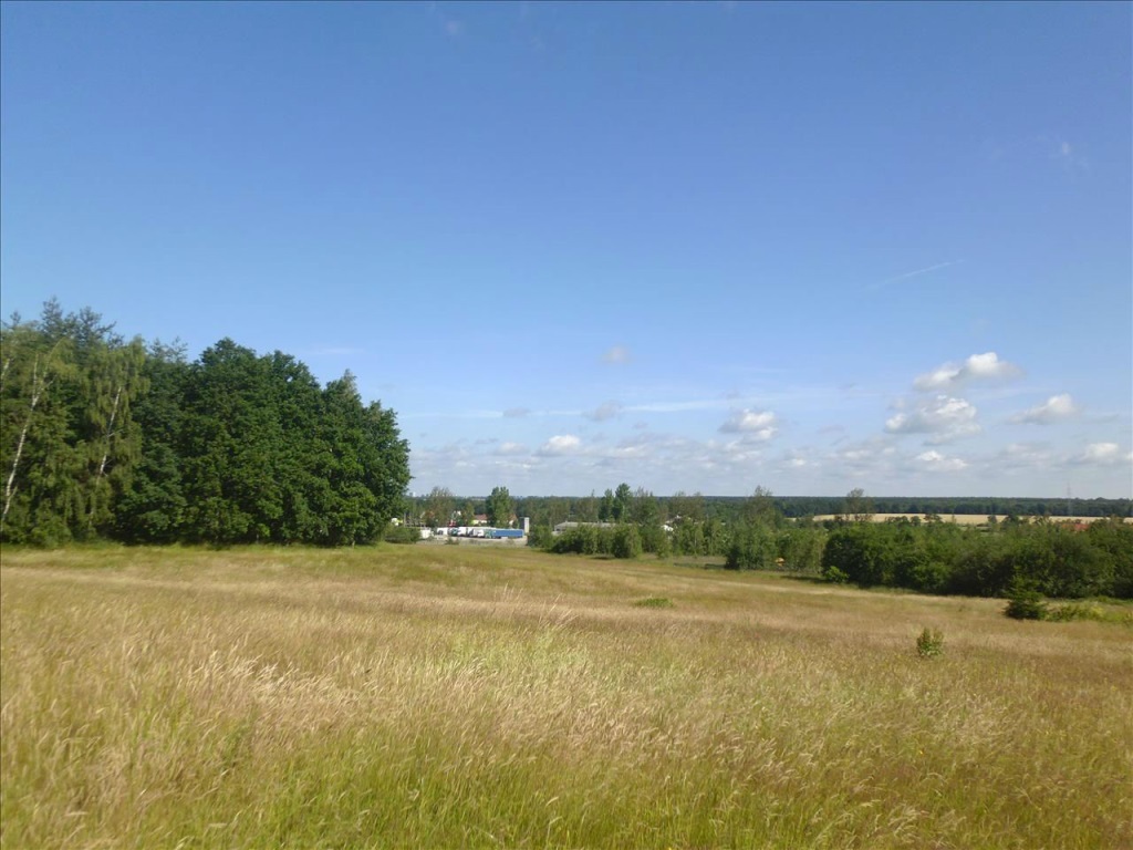 Działka – Okmiany