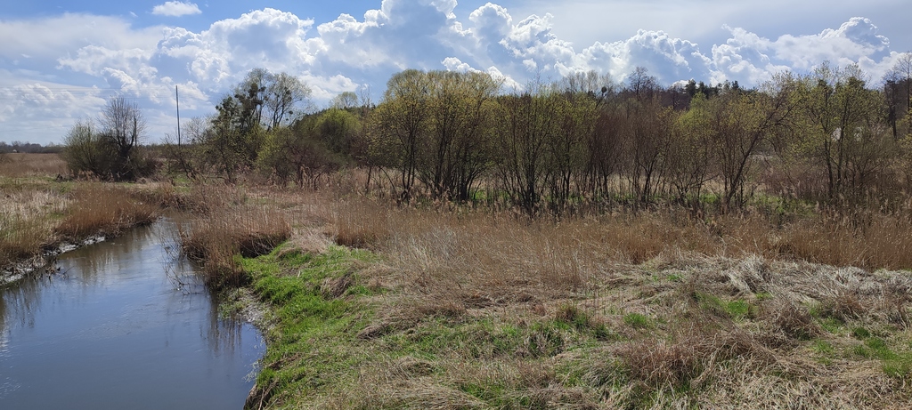 Działka – Ruskie Piaski