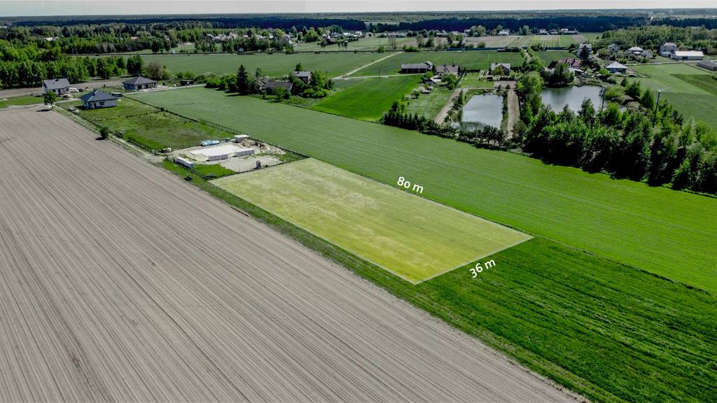 Działka – Jelnica