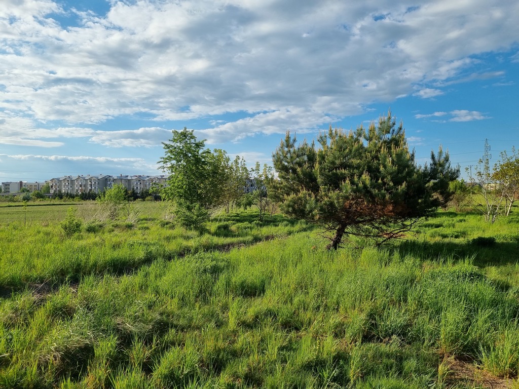Działka – Chełm, ul. Henryka Wiercieńskiego