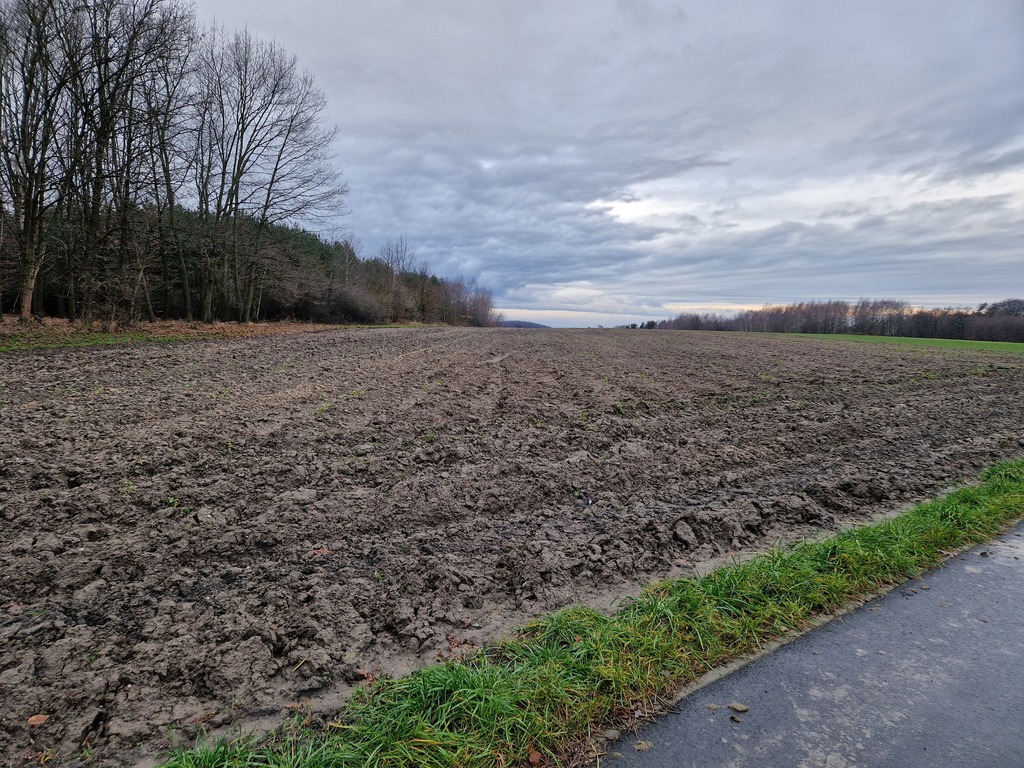 Działka – Racibórz, Brzezie, ul. Rybnicka