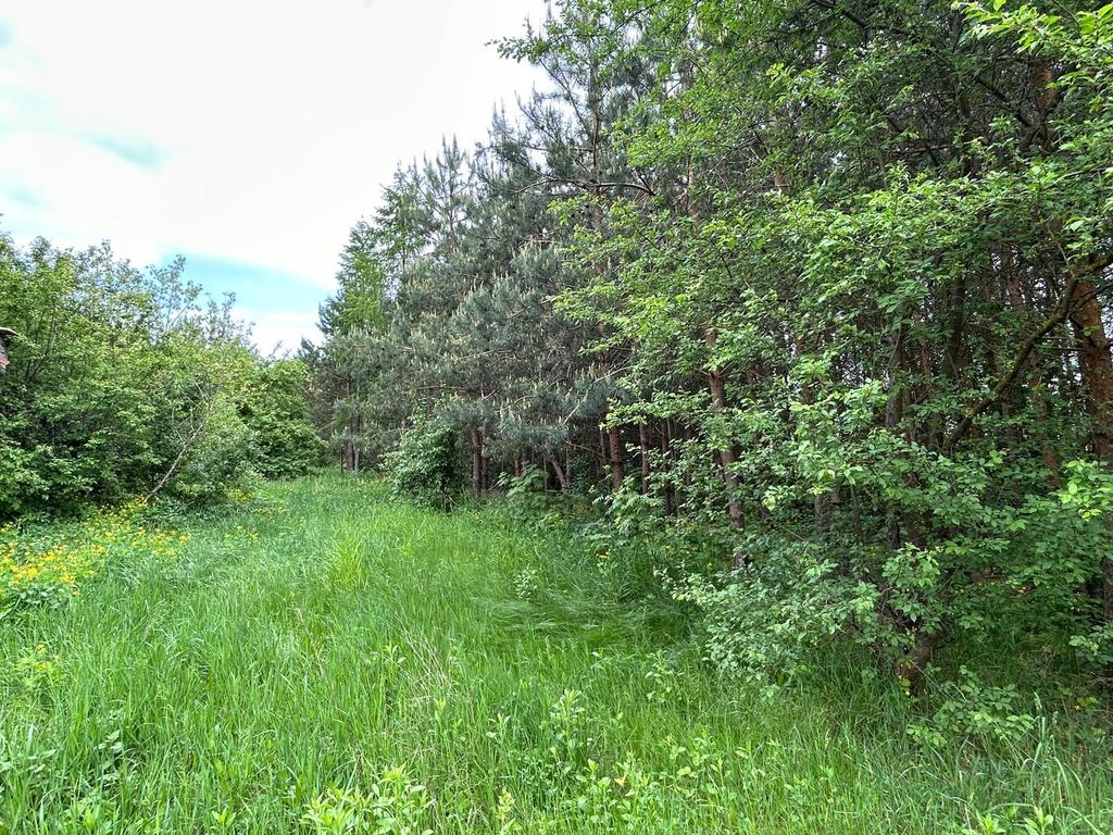 Działka – Rusków