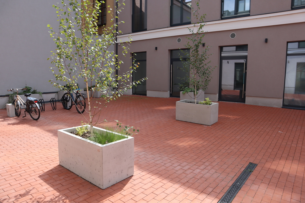 Lokal – Zamość, ul. Bazyliańska