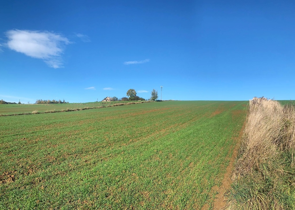 Działka – Władysław